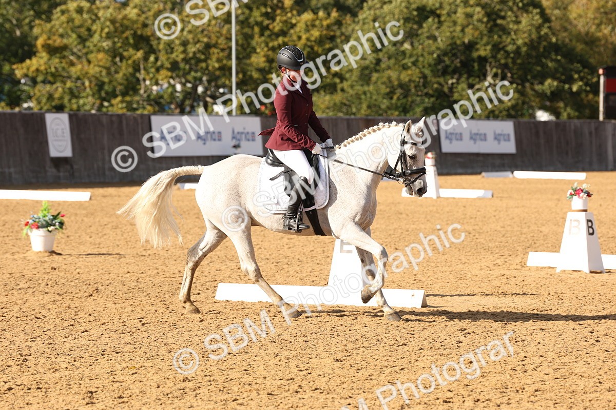 SBM_50478 - D12 - Small Tour Championship prelim 2