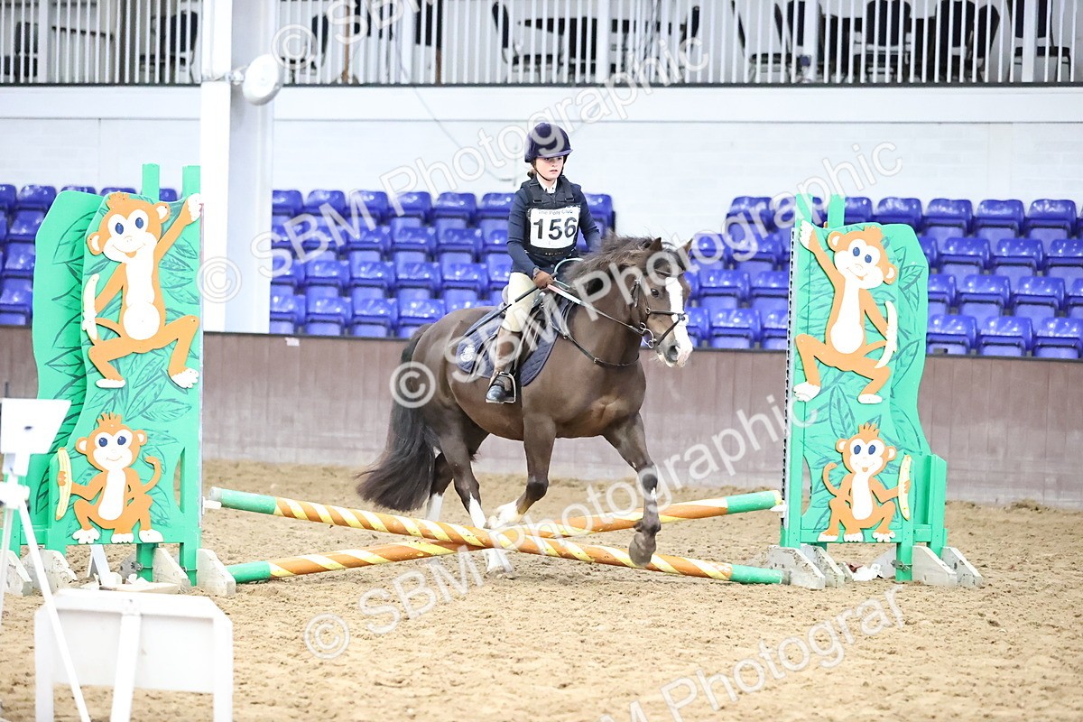 SBM_000231 - Class 2 - The Rug Lady 40cm Area 12 Championship Qualifier