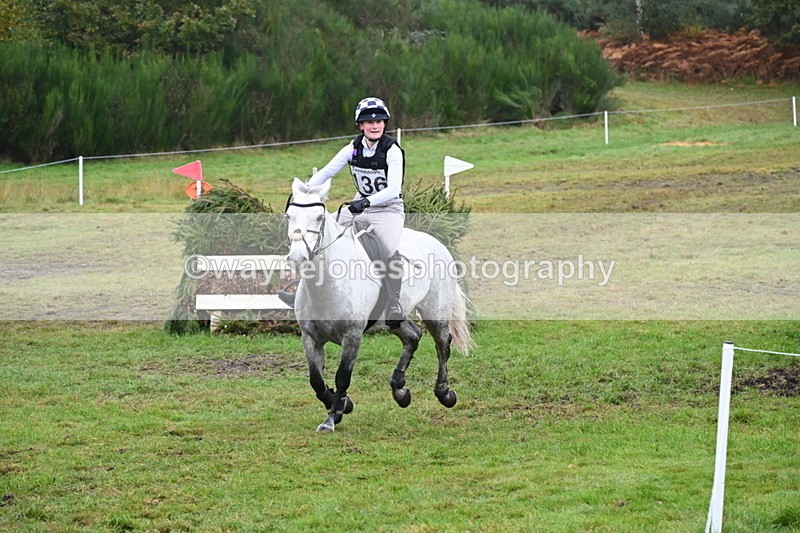 WJ6_2368 - 80cm Cam 1 Time 11:23 to 12:04