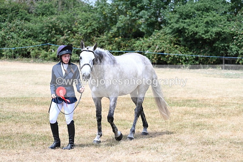 WJ7_2076 - Prettiest Mare Champs
