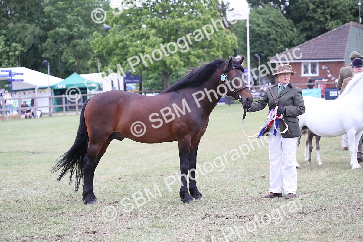 SBM_09813 - Ch 50 - Price Family Supreme In Hand