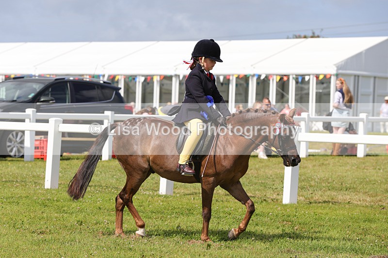 1X9A3807 - Plaited Mini Ridden Championship