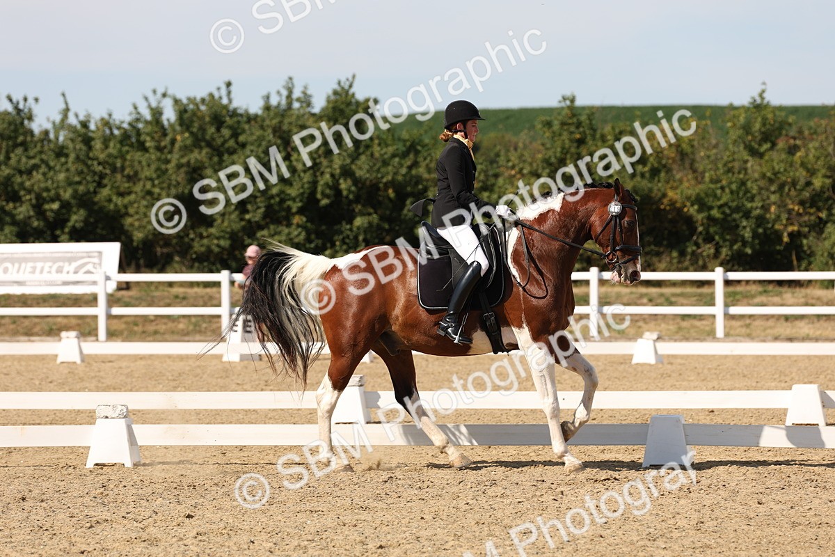 SBM_003873 - Elementary 4