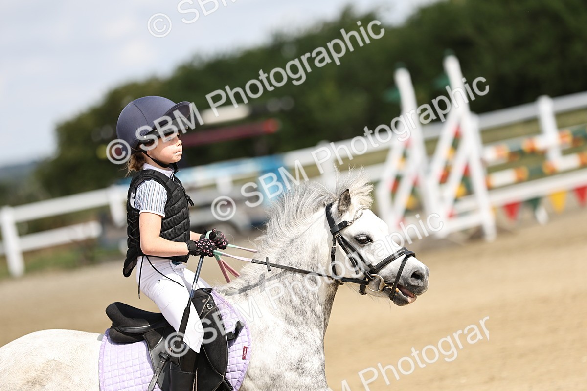 SBM_004049 - 60cm showjumping