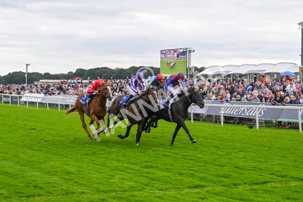 210824-Race 3-Los Angeles-4890 - Race 3 3.00pm Sky Bet Great Voltigeur Stakes
