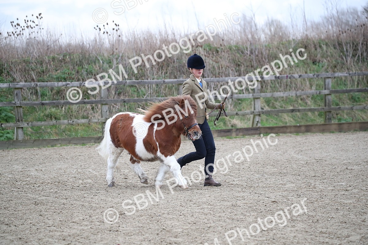 SBM_003922 - Class 1-4 - Young Stock classes Inc. In Hand Championship