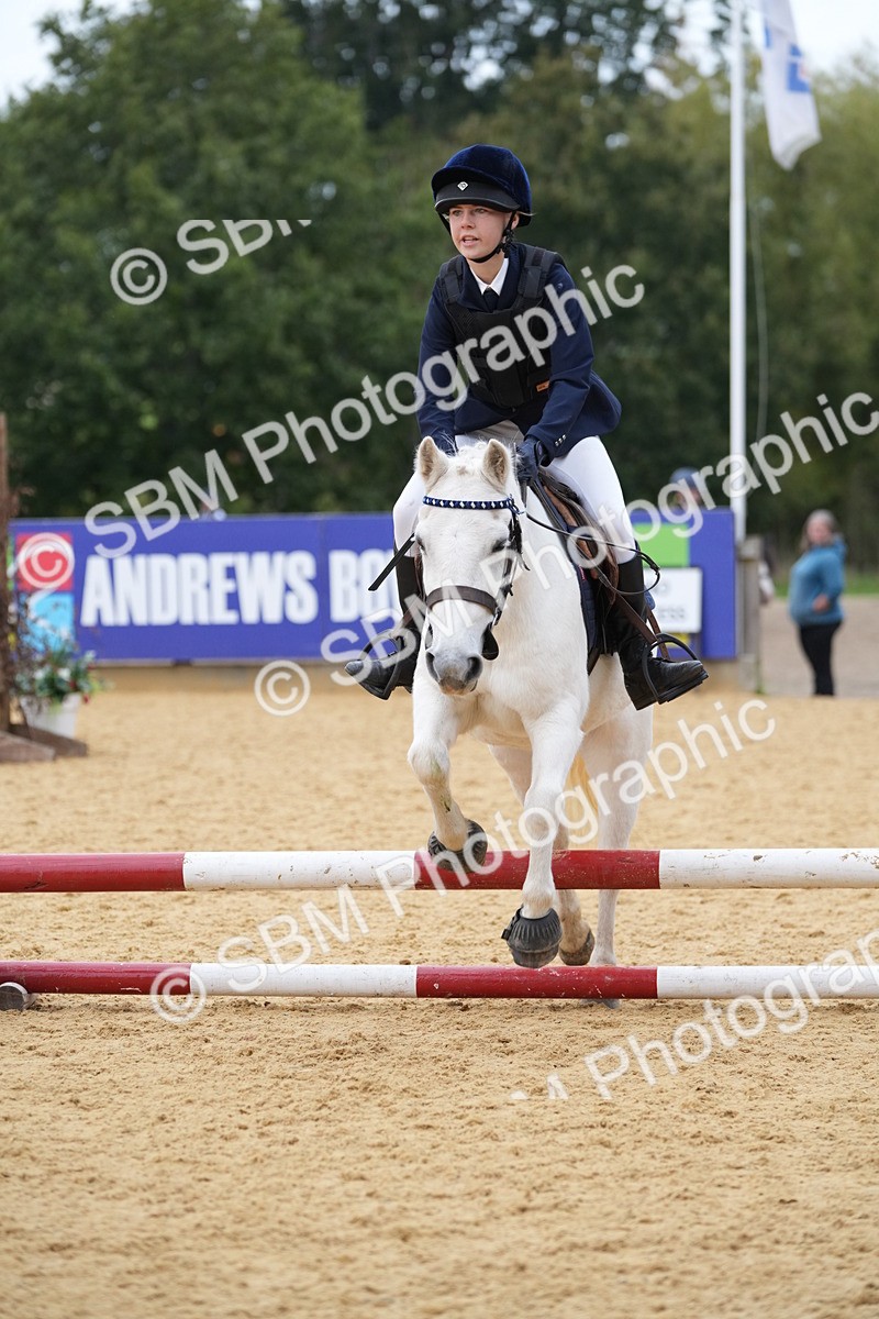SBM_74844 - J4 - Mini Tour Junior Pony 45cm Championship