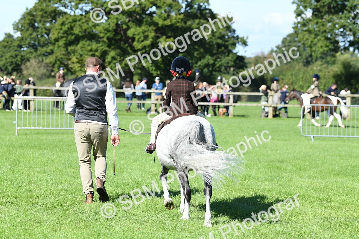 SBM_39603 - S18 - Novice & Newcomers Lead Rein Pony