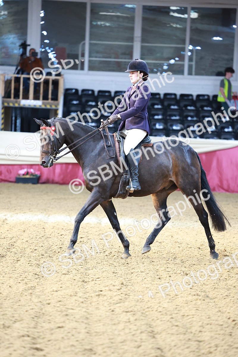 SBM_11845 - Class 102 - Equitation (Best Rider) Adult