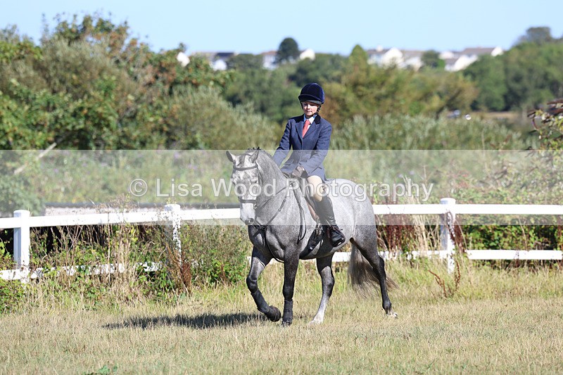 3E7A5464 - Class 3: Working Hunter 70cm