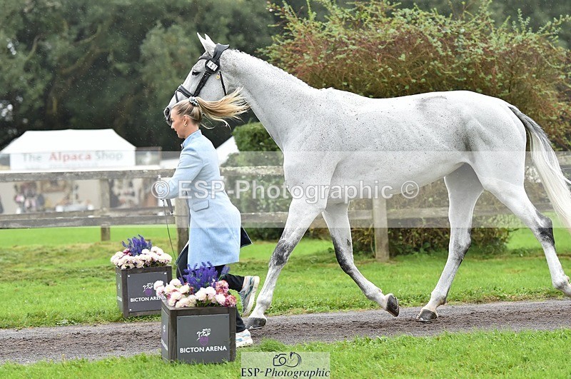 231018-123050-00344 - 042-WKD.COOLEY-Chiara.Grimaldi-TrotUp