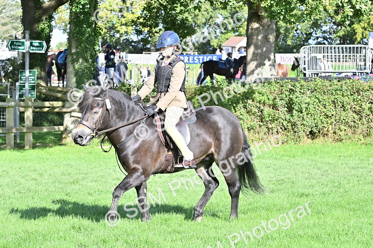 SBM_50278 - S21 - Novice & Newcomers First Ridden