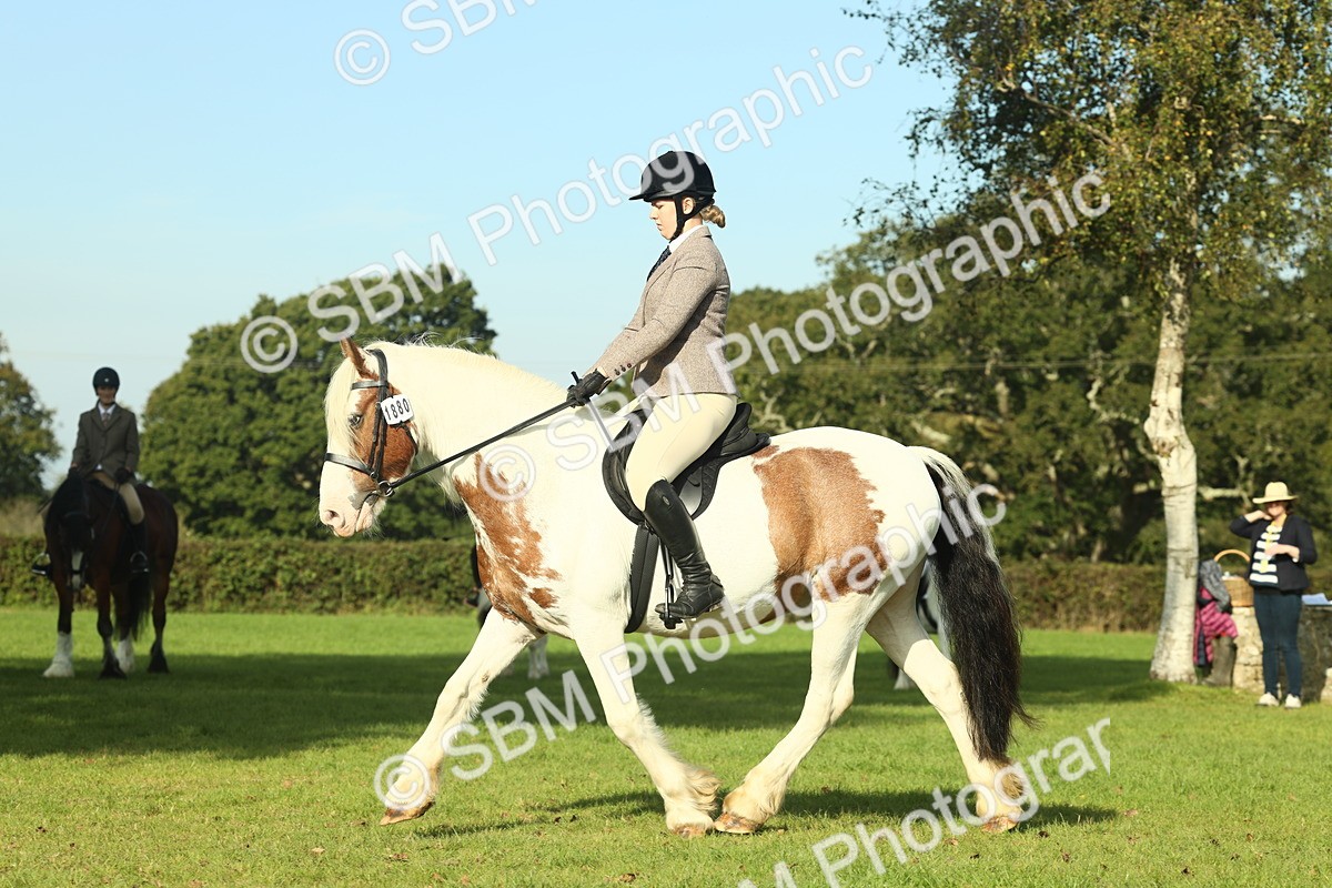 SBM_59903 - S38 - Starters Ridden Showing