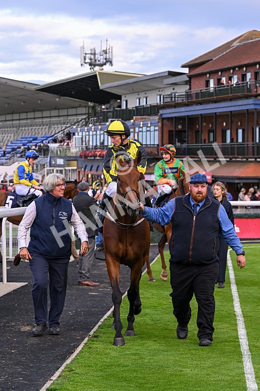 160926-Race 8-Evelyns Phoenix-2245 - Race 8 5.50pm Hurn Handicap (Div II)