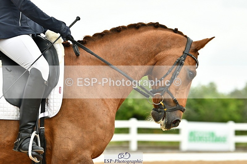 230701A-112326-05219 - Cls 5 Novice 37A