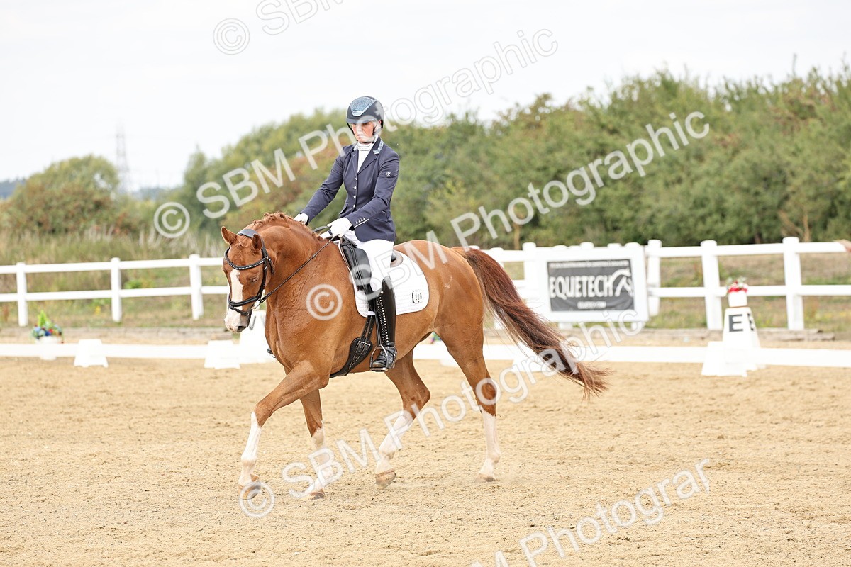 SBM_013115 - Class 3 - Novice 4 - 11.43-12.25