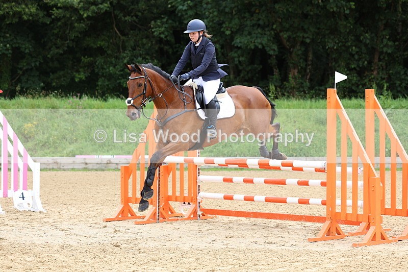 3E7A5992 - Class 4: Senior British Novice/90cm open
