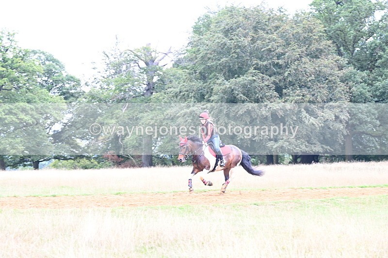 DSC_9702 - Time at Statue 15:11 to 15:58