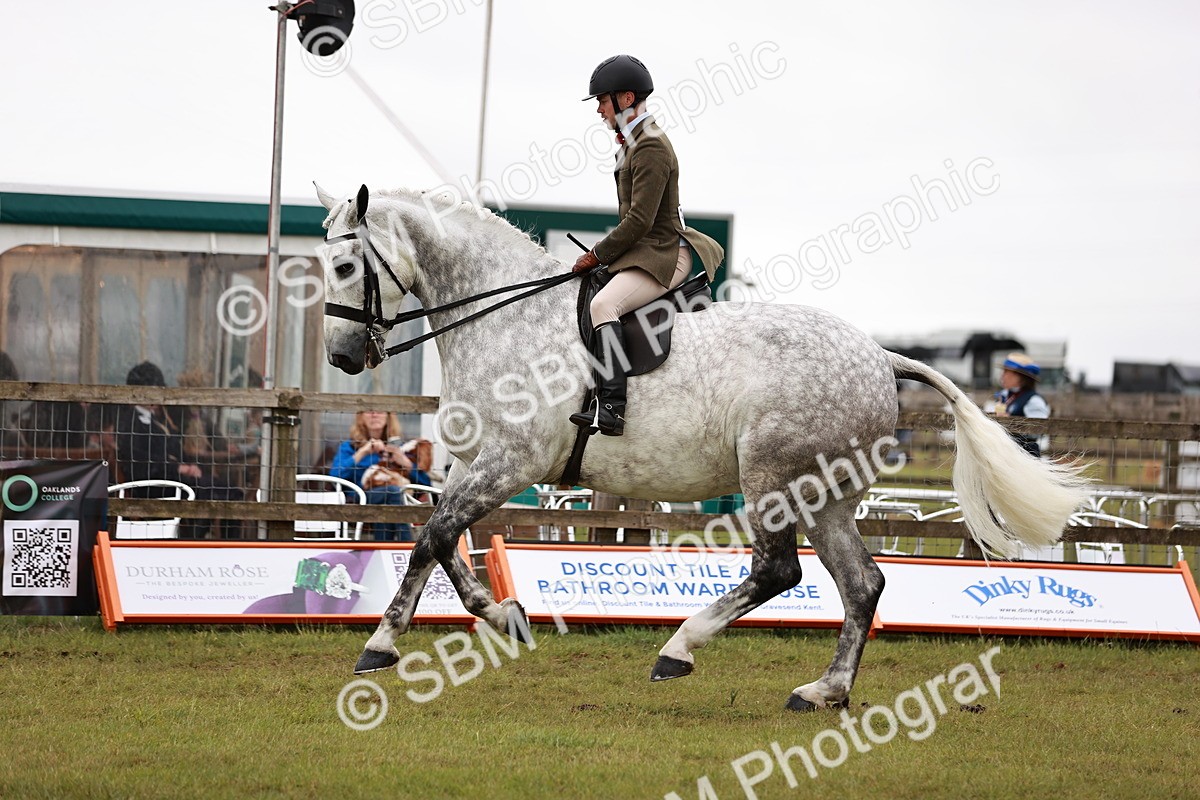 SBM_10925 - Class 81-84 - RIHS Ridden hunters Inc Ladies Hunter