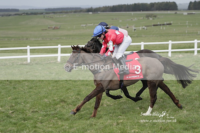 PtP 260323 1034 - New Forest Hounds Point-to-Point Larkhill 26/03/23