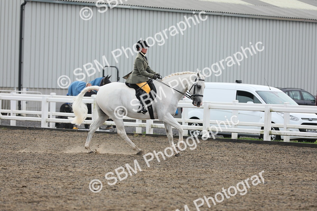SBM_21291 - Class 805 - Ridden Veteran Horse