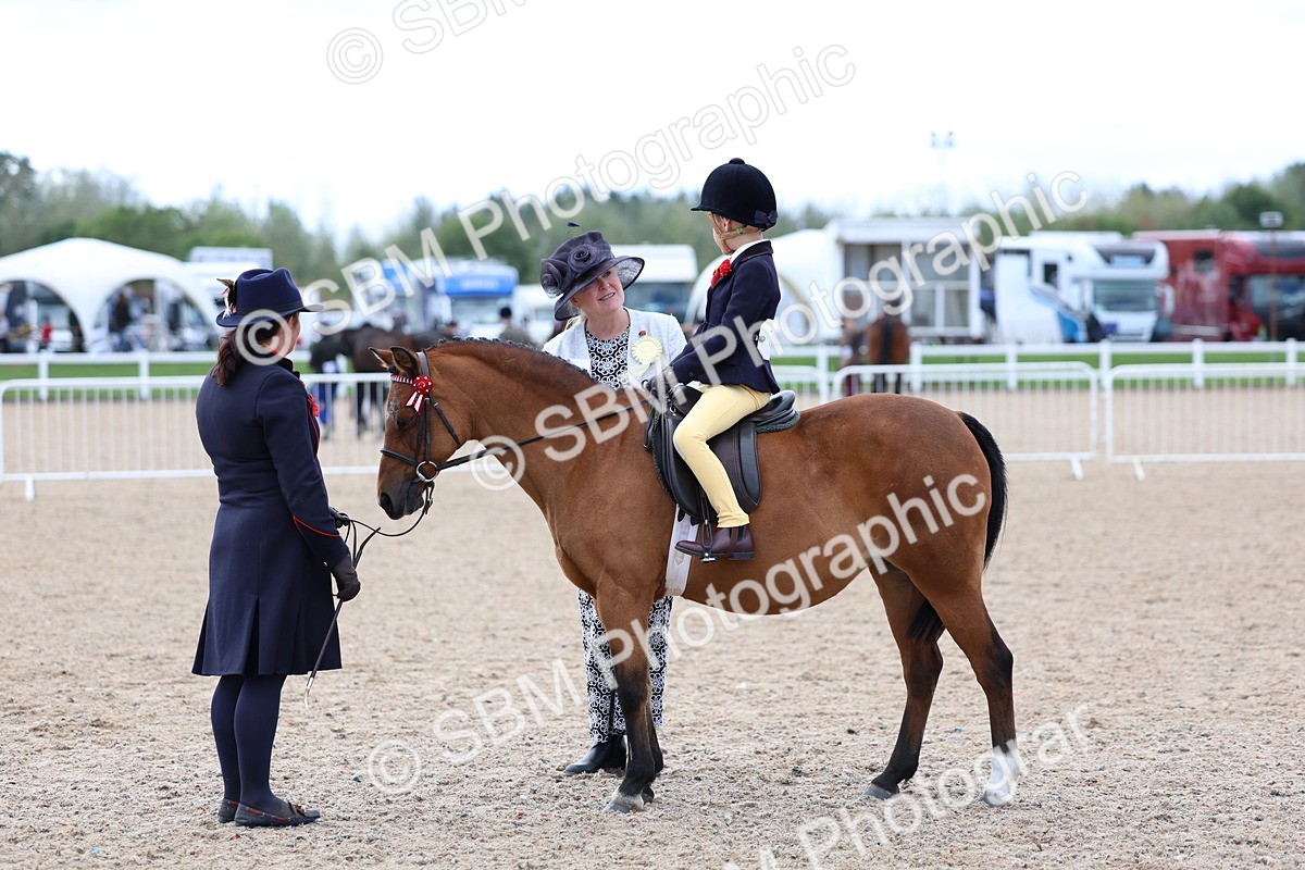 SBM_13087 - Class 309 - Lead Rein Pony