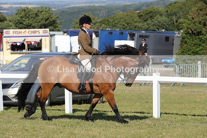 1X9A6074 - M & M Ridden Championship