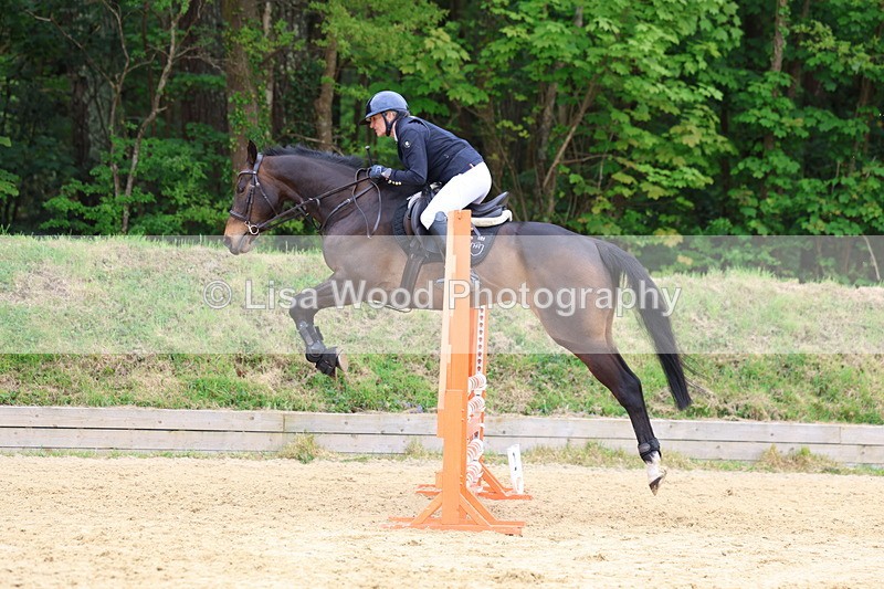 3E7A6456 - Class 4: Senior British Novice/90cm open