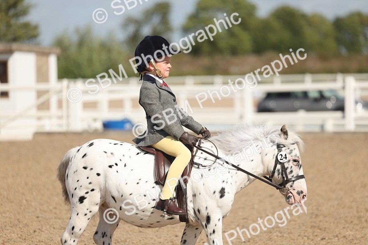 SBM_23123 - Class 806 - Young Rider 10ry and Under