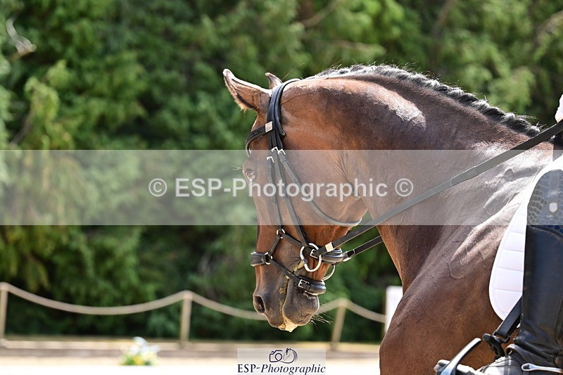 260731A-125256-00853 - Elementary Bronze Break- End