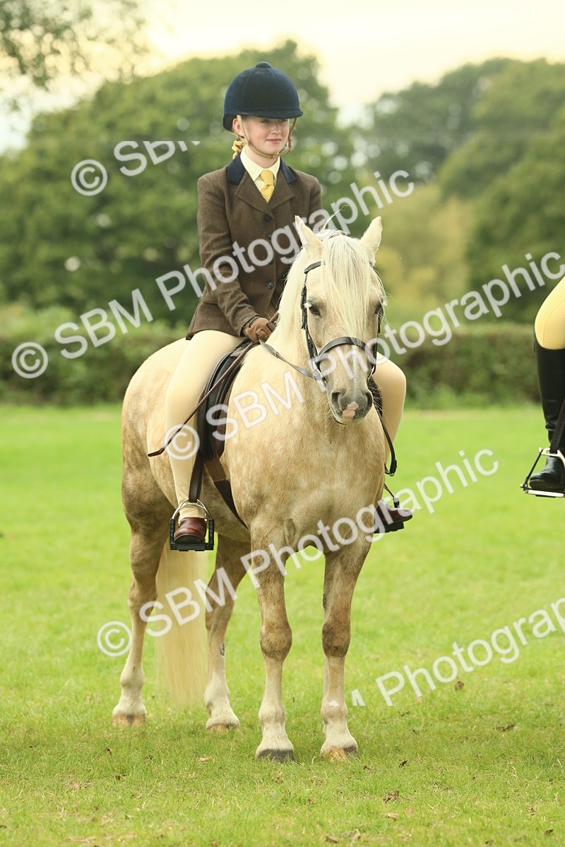 SBM_72205 - S60 - Mountain & Moorland Ridden Large Breeds