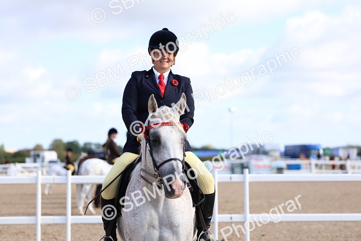 SBM_09146 - Class 303 - Ridden Pure Bred Horse Pony