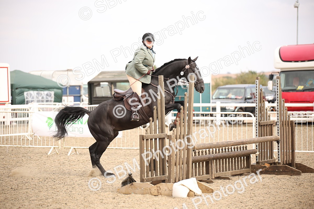 SBM_16126 - Class 409a - Working Veteran 80cm (15-19)