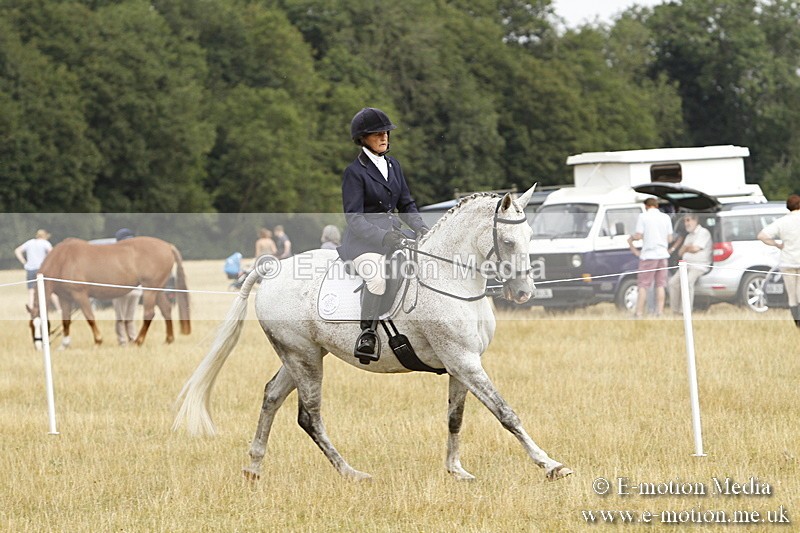 _BS_0658 - BVRC Show 2018 Ring 3