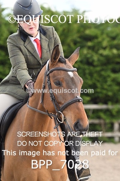 BPP_7028 - RING 1  (RIDDEN HORSES / IN HAND / VETERAN ETC)