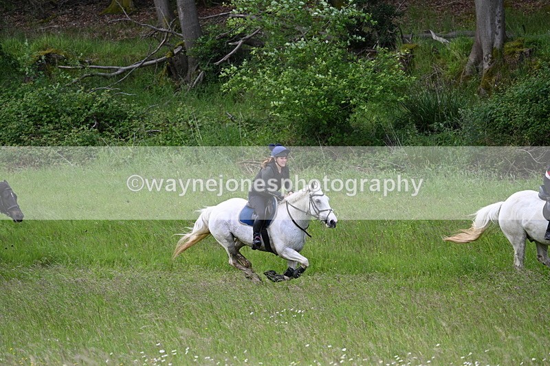 WJ7_8519 - Group 1 10am