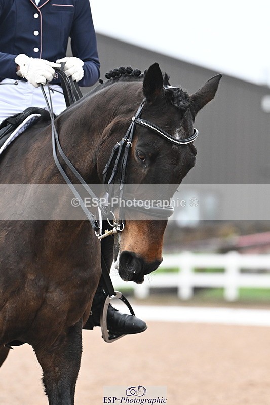 240217A-113308-02355 - 248-Jessica.Ainsworth-Deano