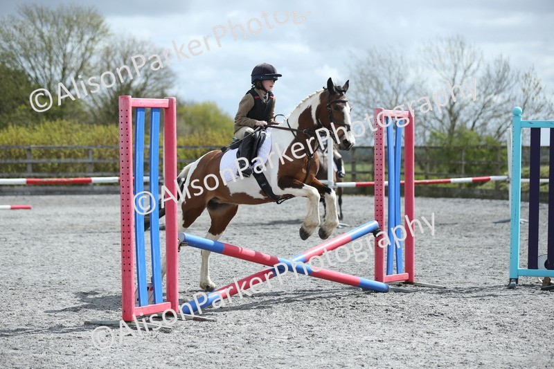 20260412-0722 - Show Jumping