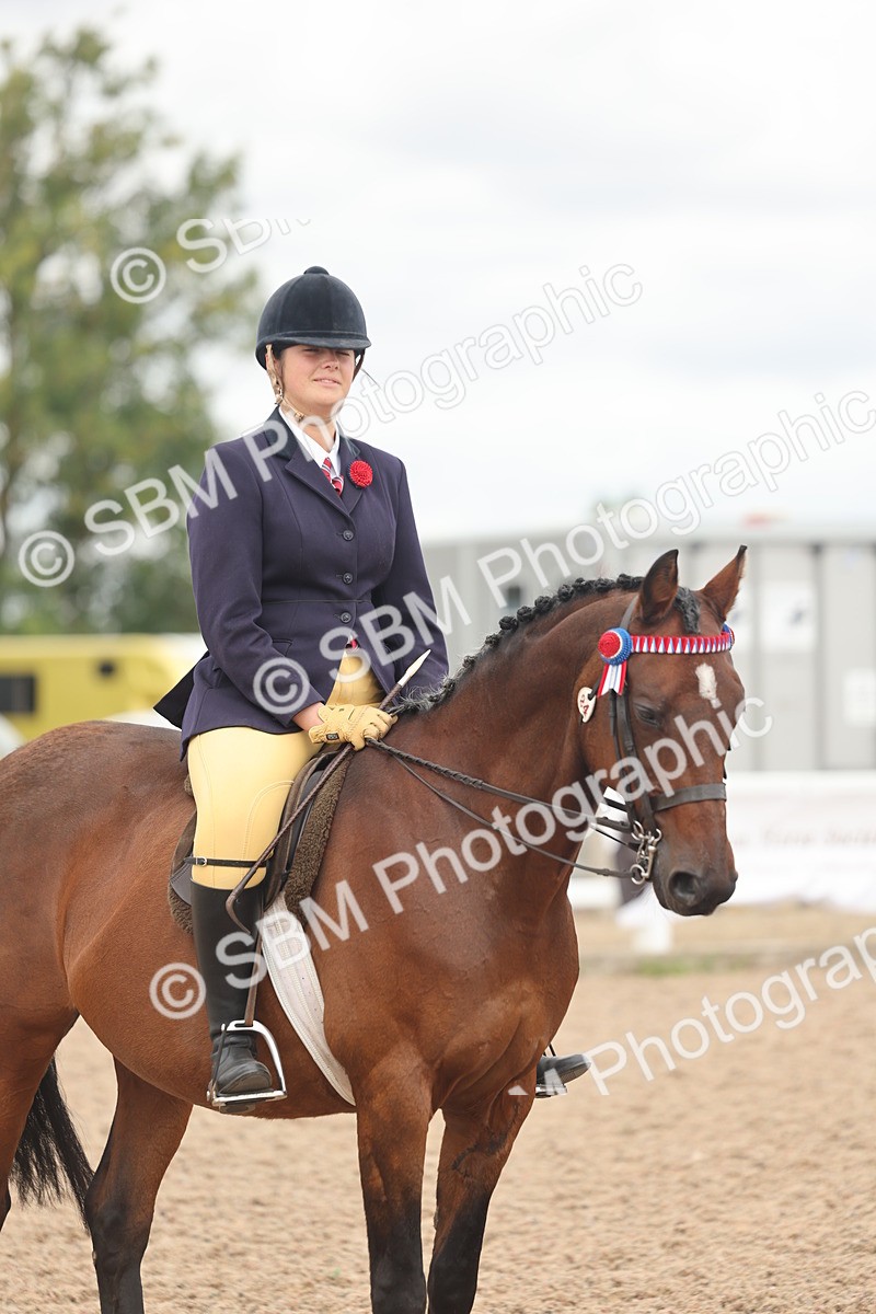 SBM_16029 - Class 311 - Ridden Show pony-Show hunter Pony