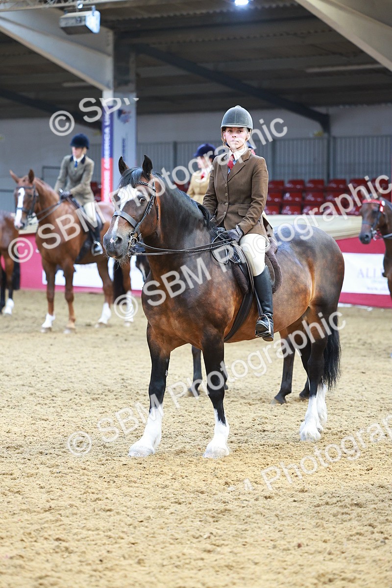 SBM_12672 - Class 103 - HOYS Veteran Qualifier - Ridden Pre Vet