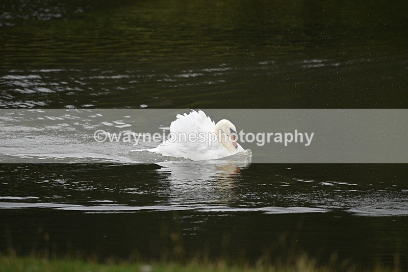 WJ7_7487 - Time at Water 10:28 to 11:05