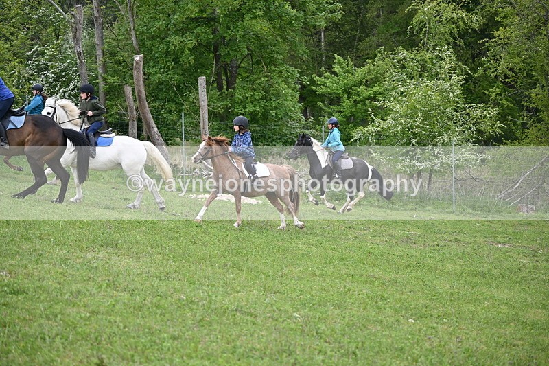 WJ6_3048 - A Camera