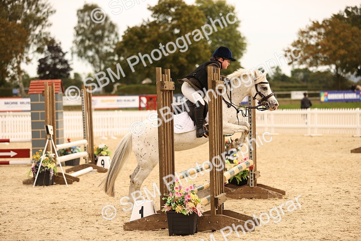 SBM_72480 - J14 - Junior Pony 65cm Championship