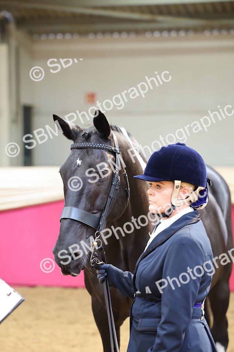 SBM_22729 - Class 903 - Supreme Final - IH Pre Vet