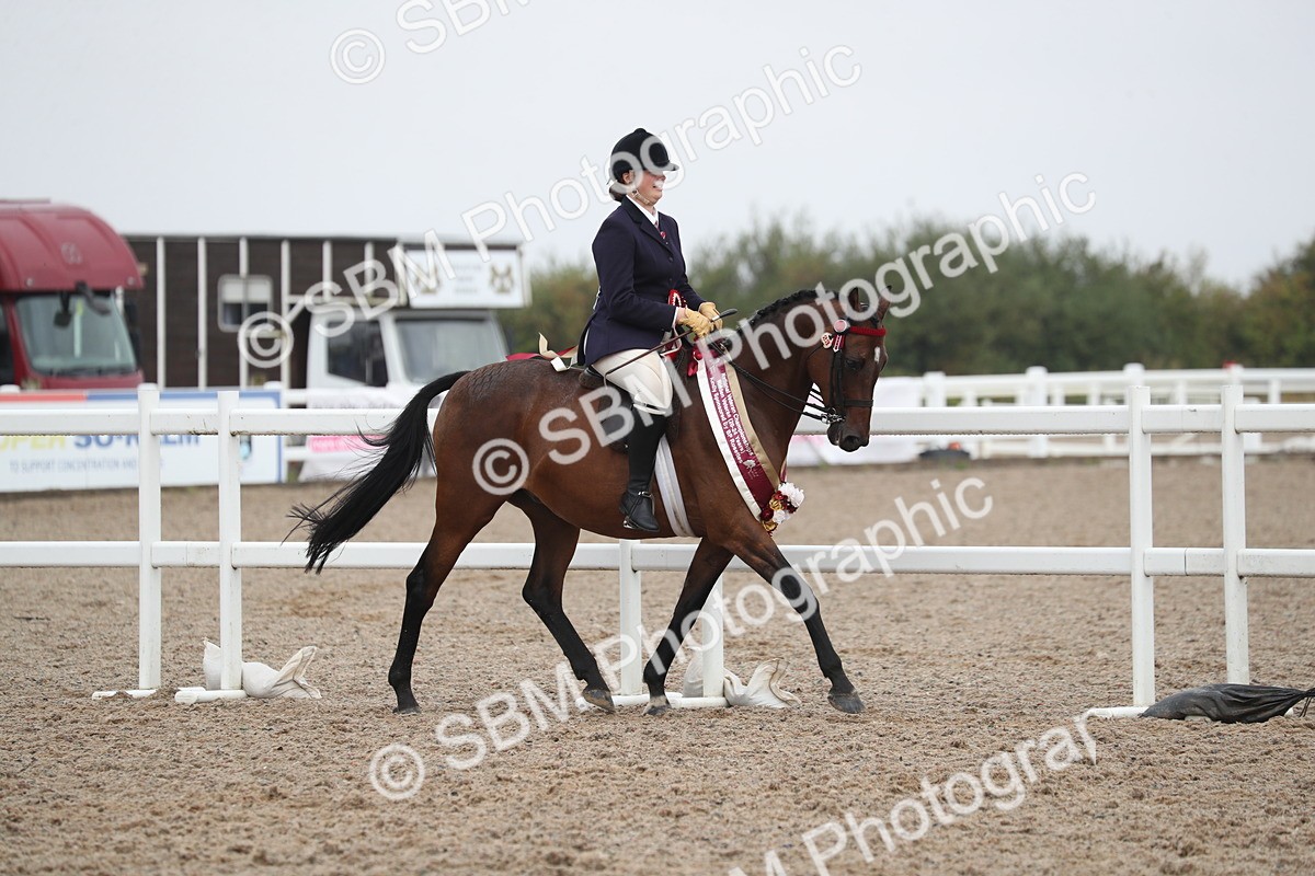 SBM_21678 - Class 602 - 2025 Area - Ridden Veteran