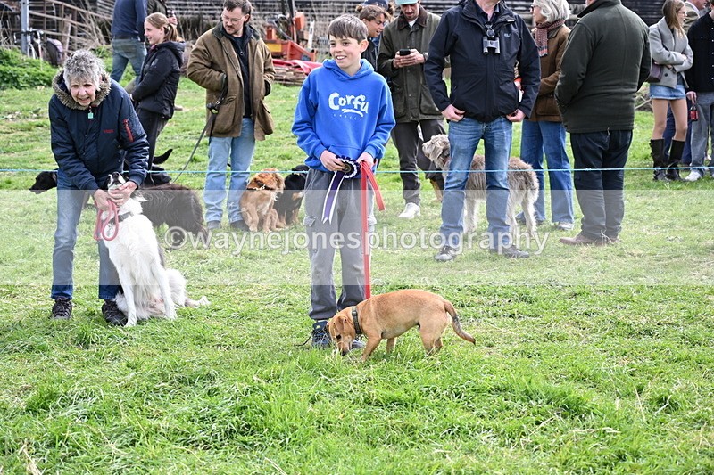 WJ6_8629 - Class 6 Best Rescue