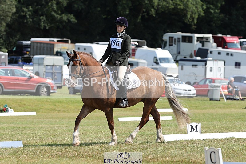 240824X-114726-26980 - D80 Section G and H 11.00 to 12.00