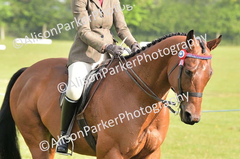 20260426-0855 - Class 18 - Novice Showing