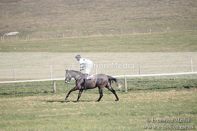 PtP 230219 189 - Vine & Craven Point-To-Point - Barbury 23/02/19
