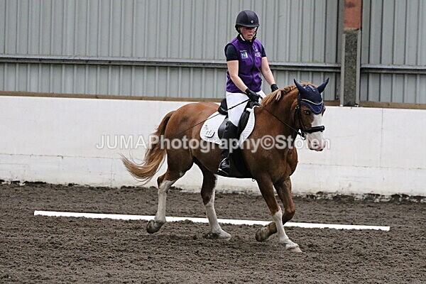 SIAL3824 - CAbin Dressage 5th july 2025